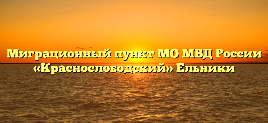 Миграционный пункт МО МВД России «Краснослободский» Ельники