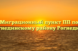 Миграционный пункт ПП по Рогнединскому району Рогнедино