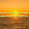 «Милостивый» или «милостливый» — как правильно пишется слово?