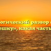 Морфологический разбор слова «в насмешку», какая часть речи