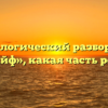 Морфологический разбор слова «кайф», какая часть речи