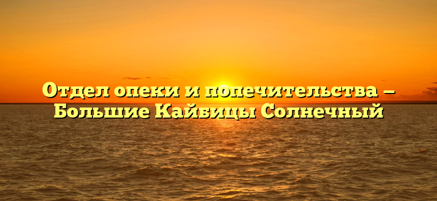 Отдел опеки и попечительства — Большие Кайбицы Солнечный