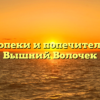 Отдел опеки и попечительства — Вышний Волочек