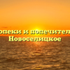 Отдел опеки и попечительства — Новоселицкое