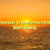 Отдел опеки и попечительства — Нолинск
