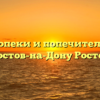 Отдел опеки и попечительства — Ростов-на-Дону Ростов