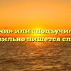 «Подучи» или «подъучи» — как правильно пишется слово?