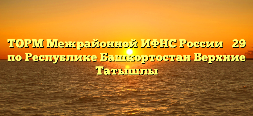 ТОРМ Межрайонной ИФНС России № 29 по Республике Башкортостан Верхние Татышлы