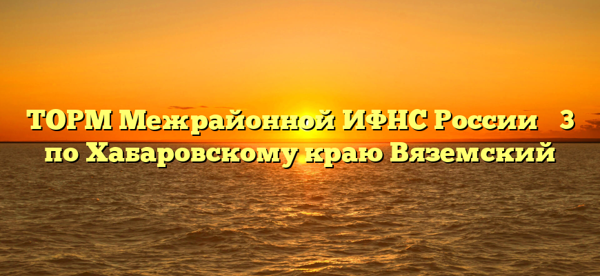 ТОРМ Межрайонной ИФНС России № 3 по Хабаровскому краю Вяземский