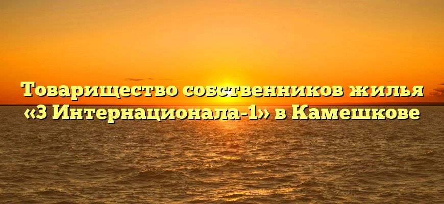 Товарищество собственников жилья «3 Интернационала-1» в Камешкове