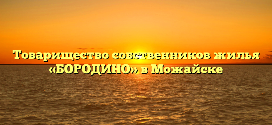 Товарищество собственников жилья «БОРОДИНО» в Можайске