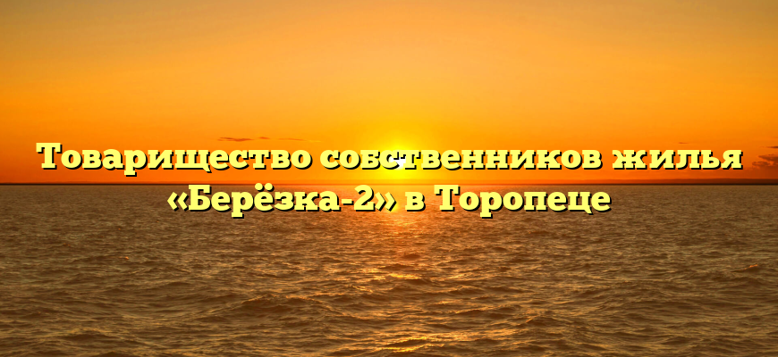 Товарищество собственников жилья «Берёзка-2» в Торопеце