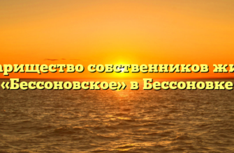 Товарищество собственников жилья «Бессоновское» в Бессоновке