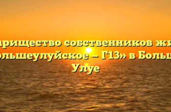 Товарищество собственников жилья «Большеулуйское — Г13» в Большое Улуе
