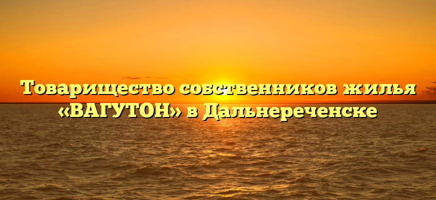 Товарищество собственников жилья «ВАГУТОН» в Дальнереченске