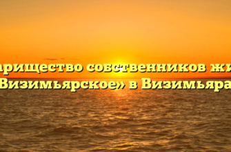 Товарищество собственников жилья «Визимьярское» в Визимьярах