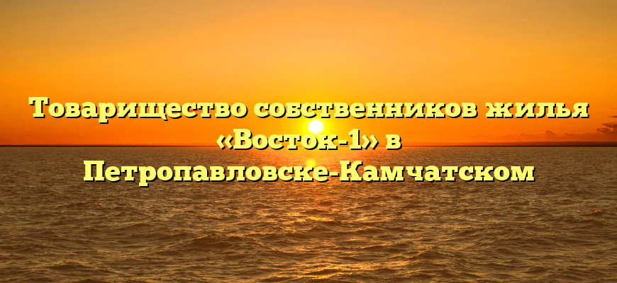 Товарищество собственников жилья «Восток-1» в Петропавловске-Камчатском