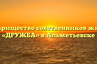 Товарищество собственников жилья «ДРУЖБА» в Альметьевске