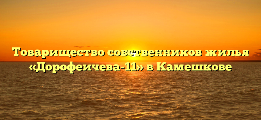 Товарищество собственников жилья «Дорофеичева-11» в Камешкове