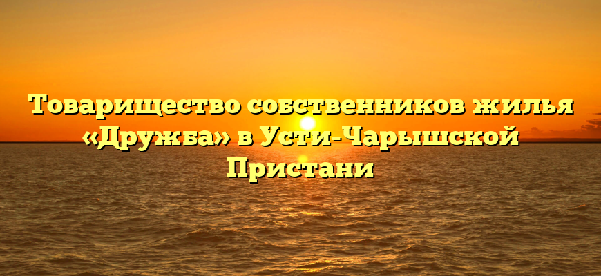 Товарищество собственников жилья «Дружба» в Усти-Чарышской Пристани