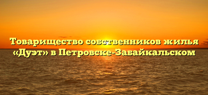 Товарищество собственников жилья «Дуэт» в Петровске-Забайкальском
