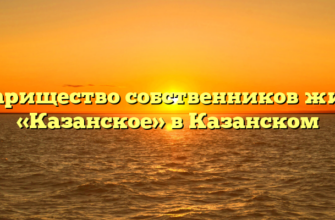 Товарищество собственников жилья «Казанское» в Казанском