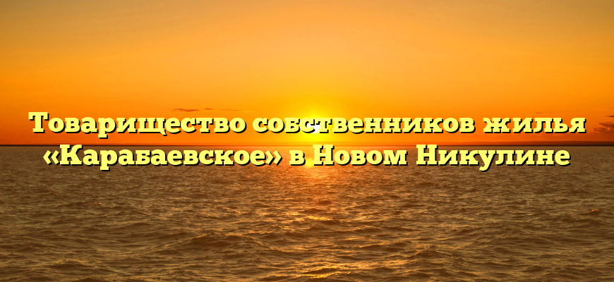 Товарищество собственников жилья «Карабаевское» в Новом Никулине