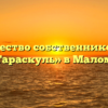 Товарищество собственников жилья «Малый Тараскуль» в Малом Атлыме