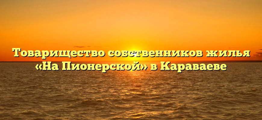 Товарищество собственников жилья «На Пионерской» в Караваеве