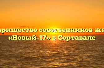 Товарищество собственников жилья «Новый-17» в Сортавале