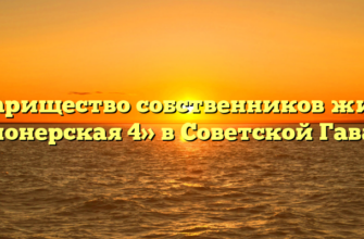 Товарищество собственников жилья «Пионерская 4» в Советской Гавани