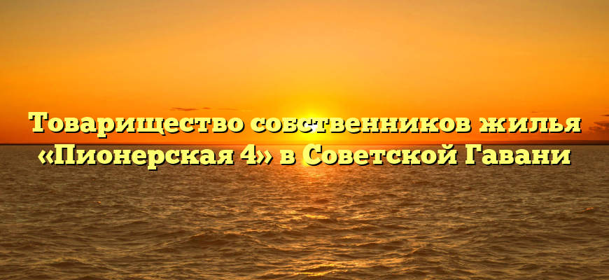 Товарищество собственников жилья «Пионерская 4» в Советской Гавани