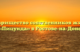 Товарищество собственников жилья «Пицунда» в Ростове-на-Доне