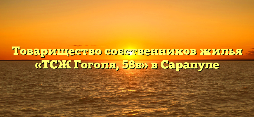 Товарищество собственников жилья «ТСЖ Гоголя, 58б» в Сарапуле