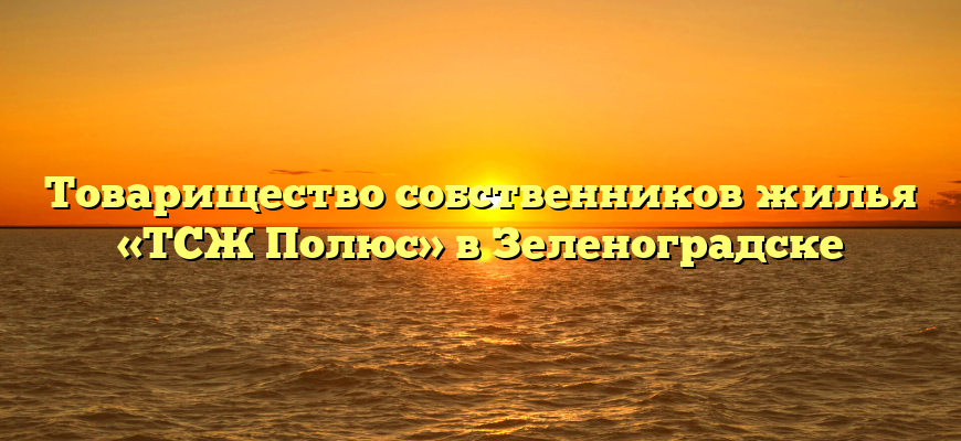 Товарищество собственников жилья «ТСЖ Полюс» в Зеленоградске