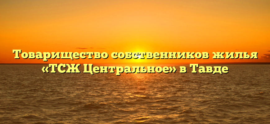Товарищество собственников жилья «ТСЖ Центральное» в Тавде