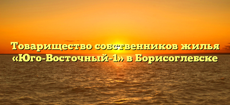 Товарищество собственников жилья «Юго-Восточный-1» в Борисоглебске
