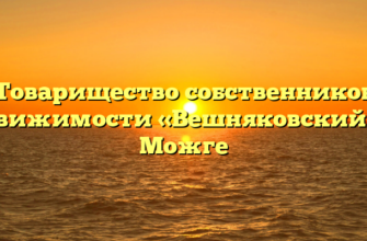 Товарищество собственников недвижимости «Вешняковский 9» в Можге