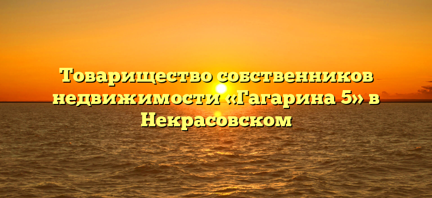 Товарищество собственников недвижимости «Гагарина 5» в Некрасовском