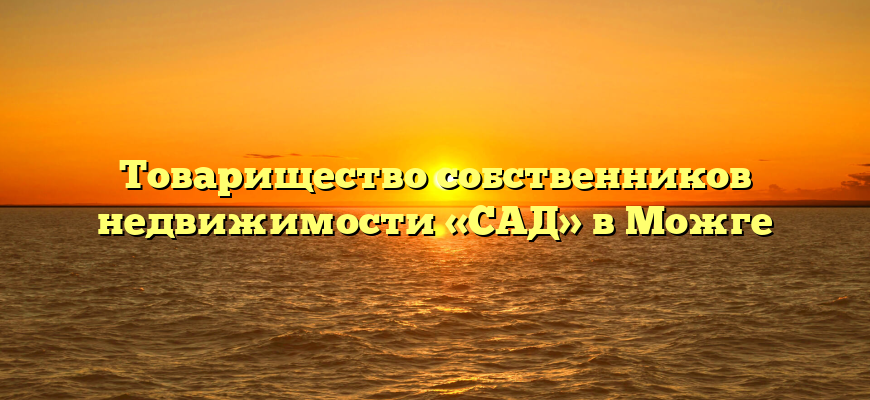 Товарищество собственников недвижимости «САД» в Можге