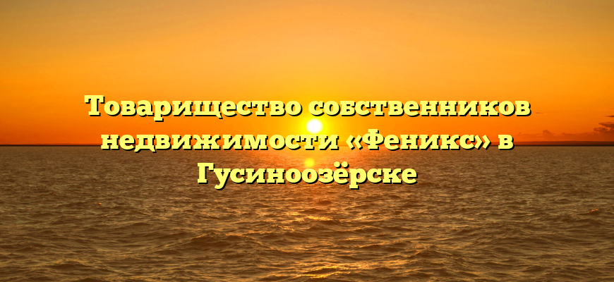 Товарищество собственников недвижимости «Феникс» в Гусиноозёрске