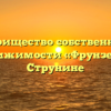 Товарищество собственников недвижимости «Фрунзе-13» в Струнине