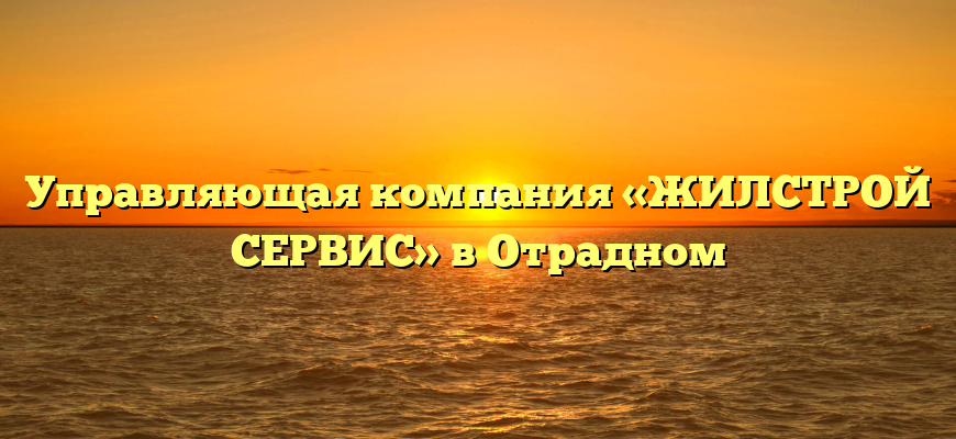 Управляющая компания «ЖИЛСТРОЙ СЕРВИС» в Отрадном