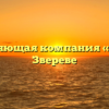 Управляющая компания «ЖКХ» в Звереве