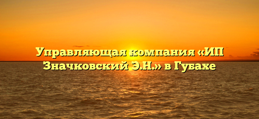 Управляющая компания «ИП Значковский Э.Н.» в Губахе