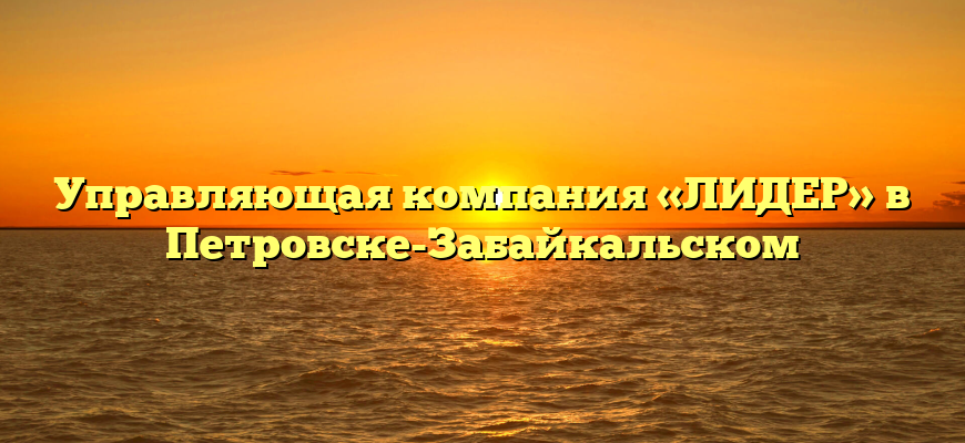 Управляющая компания «ЛИДЕР» в Петровске-Забайкальском