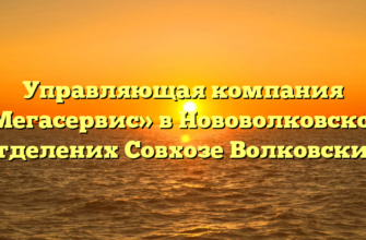 Управляющая компания «Мегасервис» в Нововолковском (отделених Совхозе Волковский)
