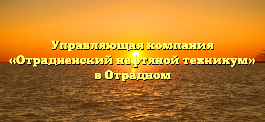 Управляющая компания «Отрадненский нефтяной техникум» в Отрадном