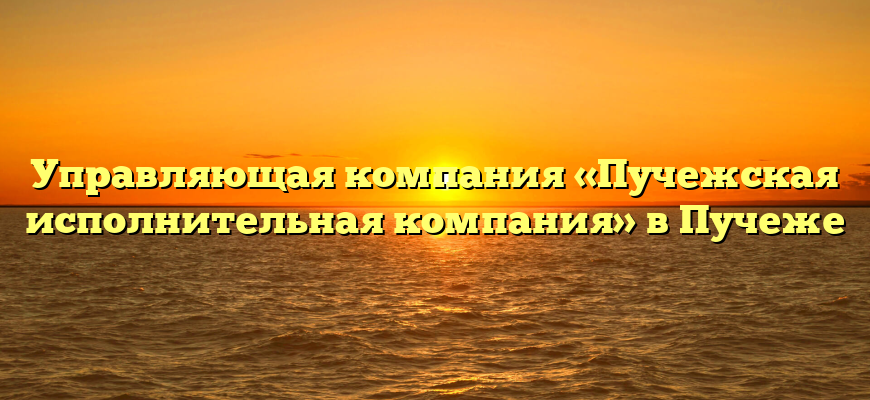Управляющая компания «Пучежская исполнительная компания» в Пучеже