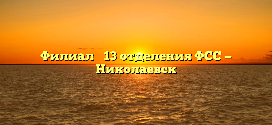 Филиал № 13 отделения ФСС — Николаевск
